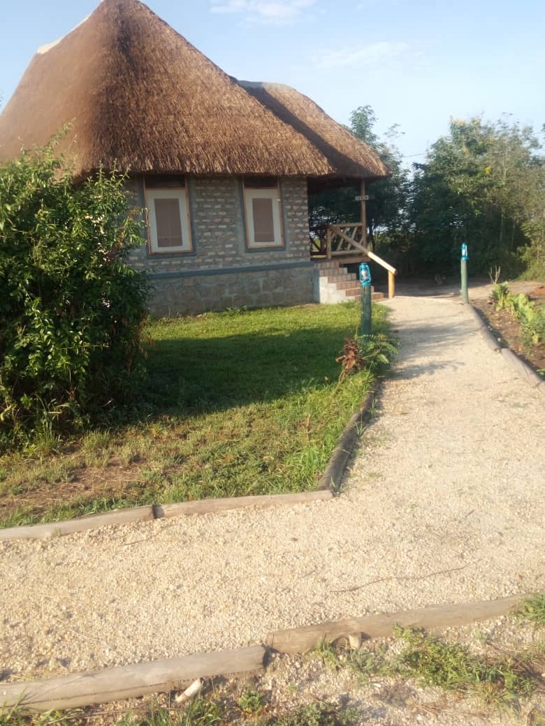 Irungu Forest Safari Lodge