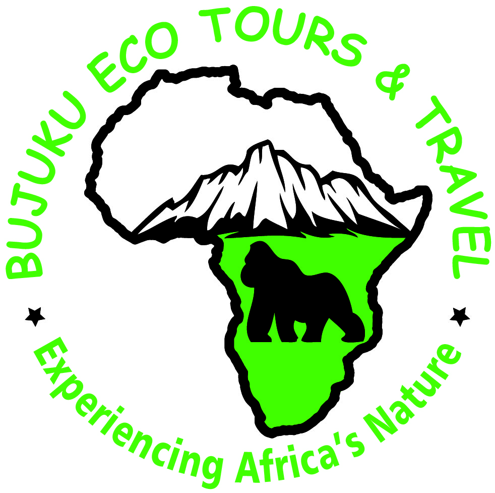 Bujuku Eco Tours & Travel Ltd logo