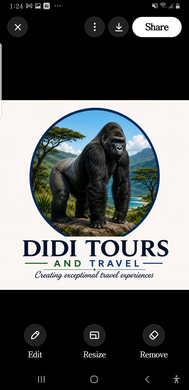DIDI Tours And Travel logo