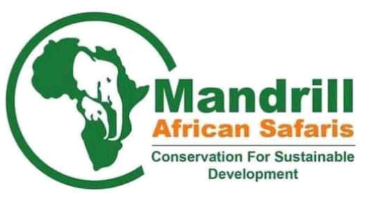 Mandrillll African Safari logo